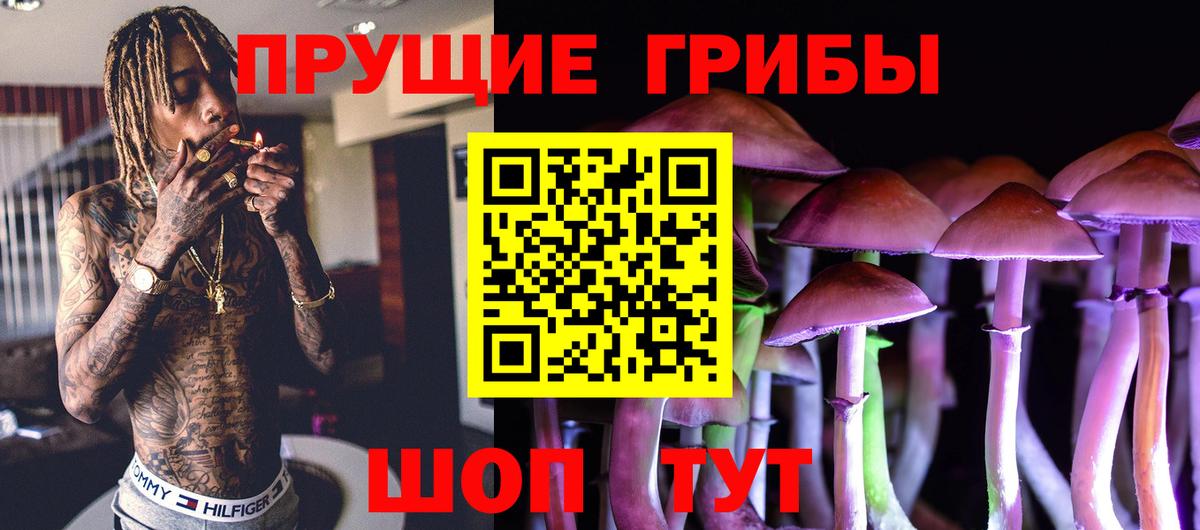 Псилоцибиновые грибы Psilocybine cubensis  Вход с VPN  Кызыл 